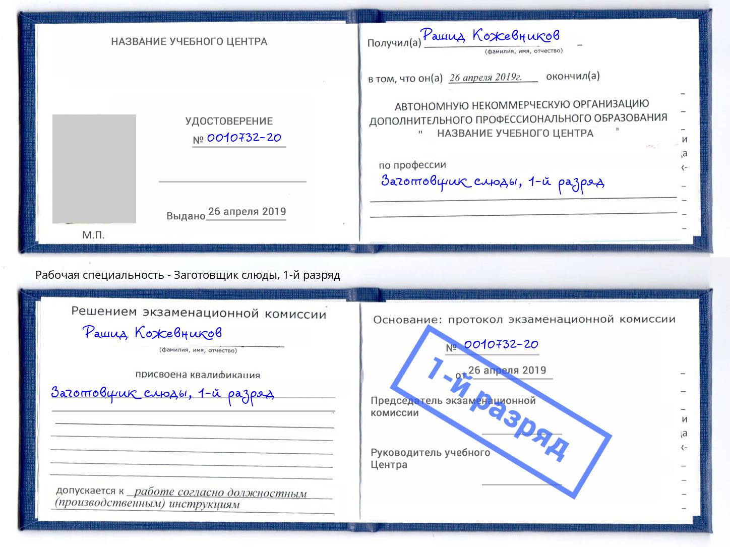 корочка 1-й разряд Заготовщик слюды Челябинск